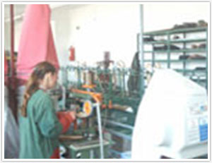 Prahova Industrial Parc - Valenii de Munte