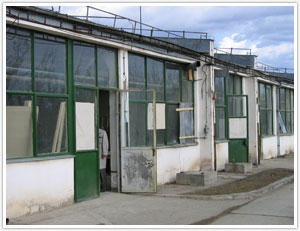 Prahova Industrial Parc - Valenii de Munte